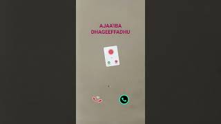 Imon dawalameefiiGaafa itti boonu