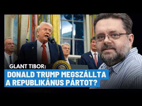 Elcsalt választókerületek, totális valóságtagadás: így szállták meg a pártot - Glant Tibor