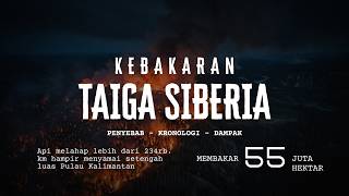 55 JUTA HEKTAR HANGUS! Begini Dahsyatnya Kebakaran Taiga Siberia 2003 yang Mengubah Dunia!