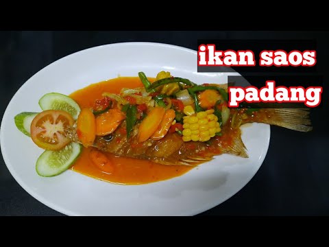 Resep Masak Ikan Kerapu Saus Padang
