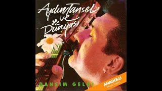 Aydın Tansel  - Çisil Çisil Yağmur Resimi