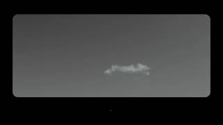 000021