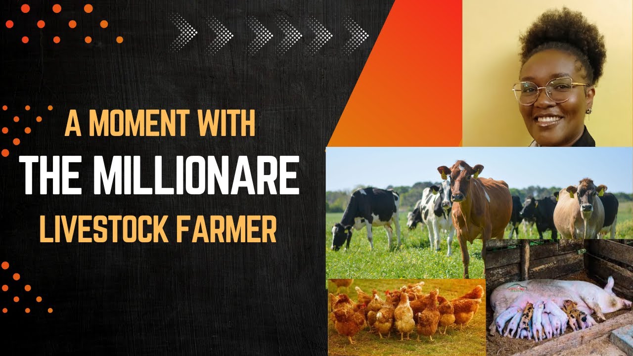 Top 10 Most Profitable Business Ideas in 2025 / Agribusiness in ...