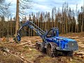 🌲The BIG one • *Rottne H21-D 6WD* • in strong wood • Unternehmen HZ-GbR • biggest Harvesters🌲