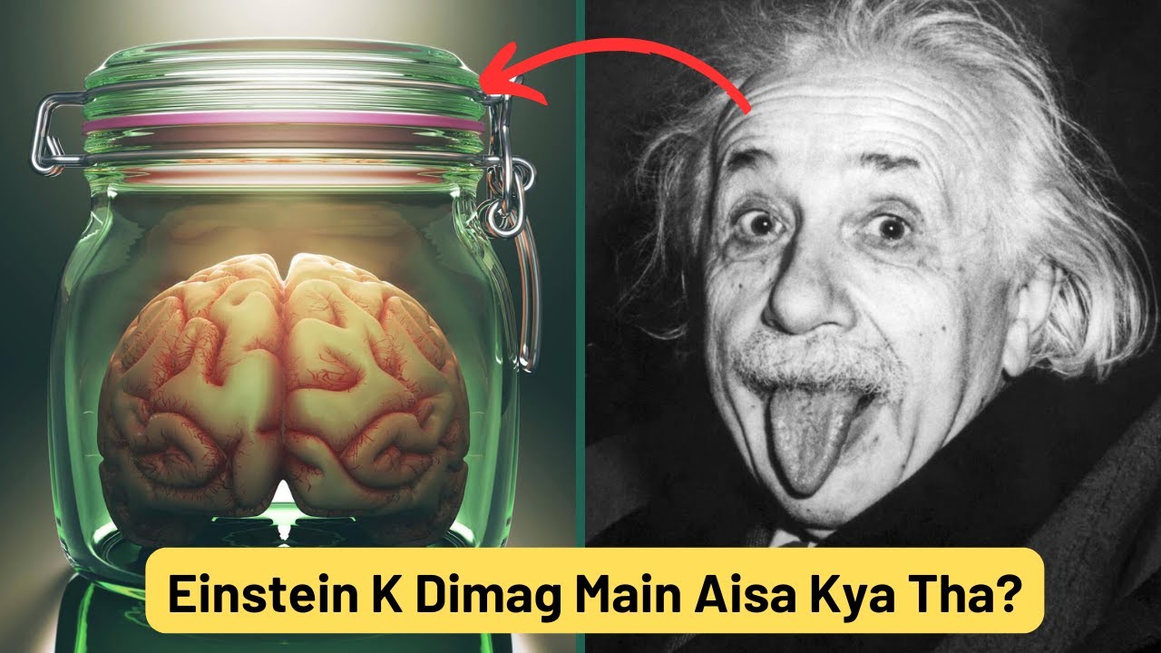 The Tragic Story of How Einstein’s Brain Was Stolen - YouTube