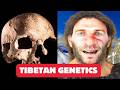 Scientists Reveals Surprising Tibetan Genetic Composition
