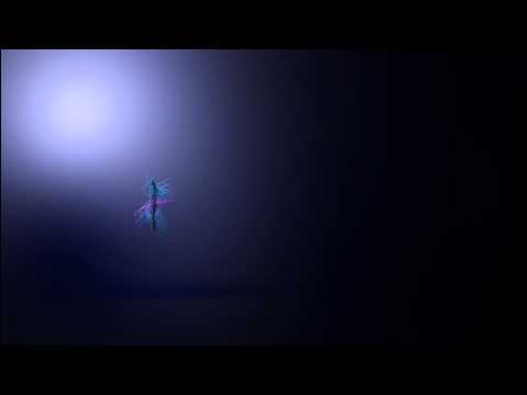 Particles Visualization