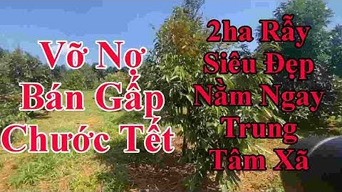 Bán Đất Đắk Nông 2HA RẪY ĐẸP GIÁ RẺ CÓ NHÀ XÂY LỚN CÓ MẶT TIỀN ĐƯỜNG TRUNG TÂM XÃ GIÁ 1TY550