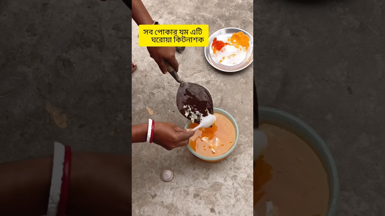 ঘরোয়া কিটনাশক