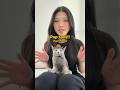 Mogi surprised about the pop quiz as if he’s the one being quizzed #cat #catvideos #cutecat #kitten