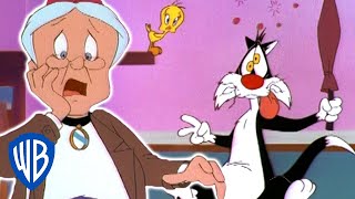 Looney Tunes | Granny's Imposter | WB Kids