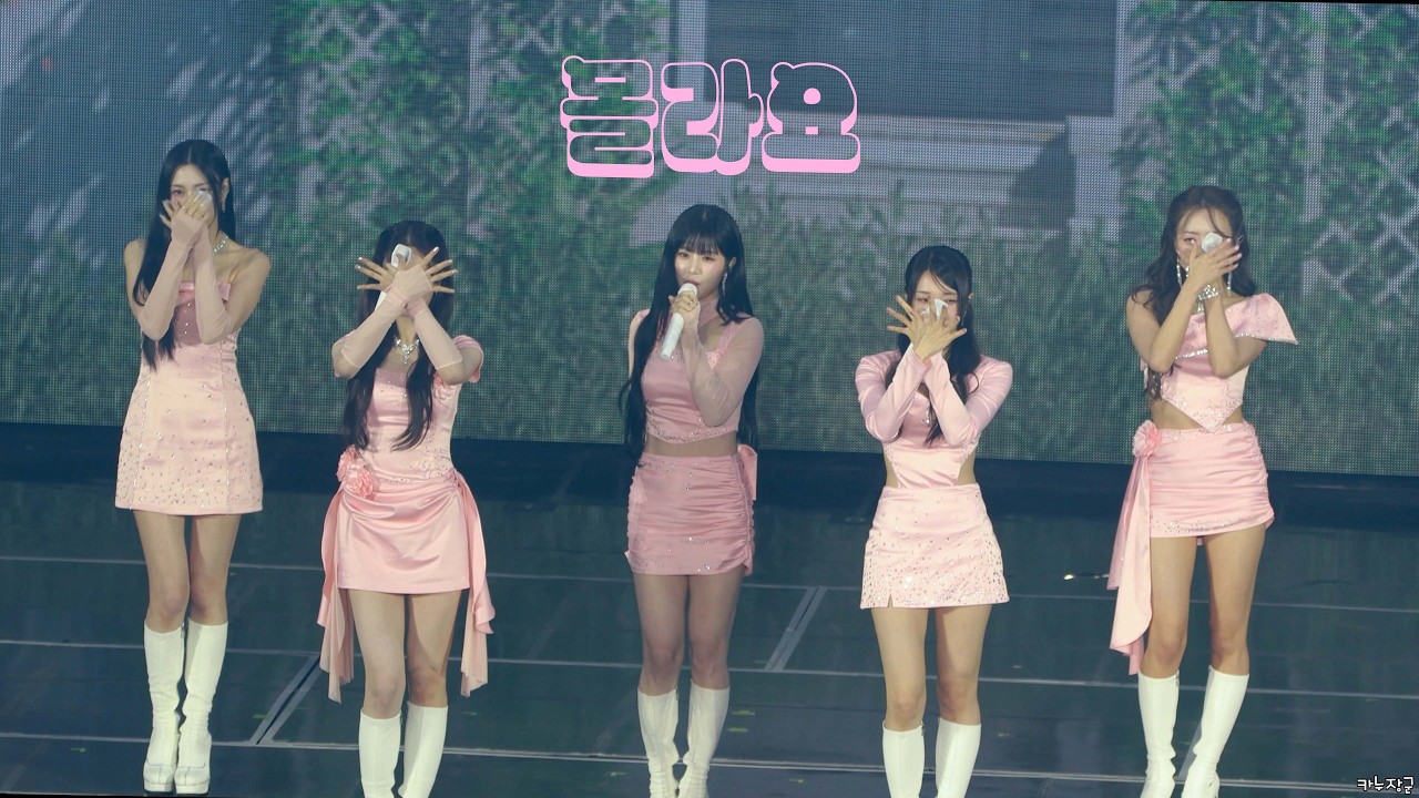 260222 에이핑크 콘서트 몰라요 단체직캠  8th Concert  The Origin: APINK @장충체육관