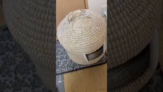 猫ちぐらの持ち手をあまちゃんに破壊されました。#short #shorts #猫 #kitten #子ネコ #猫のいる暮らし #cat #保護猫