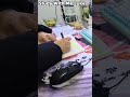 Study Sounds Only | Desk ASMR — Clean Ambient Audio for Concentration