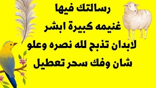 #بشري_لك#رسالة_لك#رسائل_شفاء_الروح _أبو عمر #رسائل_النور99  افتح رسالتك بأى وقت حتى لو تكرر لسنوات screenshot 4