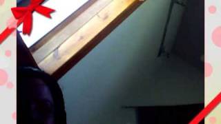 Capture_20091128_4.wmv