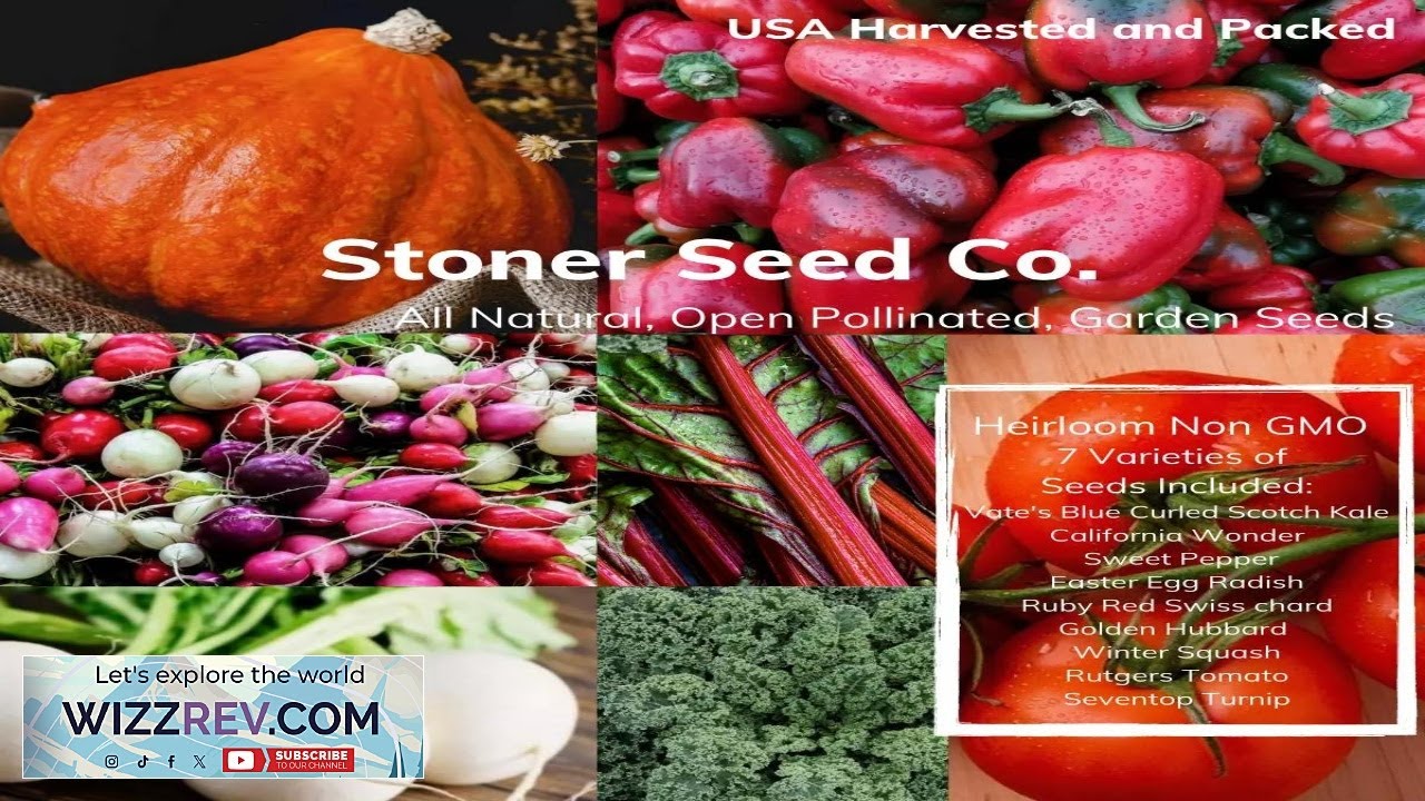 500+ Heirloom Vegetable Seed 7 Variety Garden Set #6 Emergency Survival Non GMO