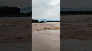 floods caught on camera #viral #trending #floods #flood #Disaster #nature #viral