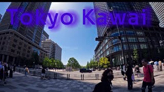 Japan living:A first at the world famous city|Tokyo|2024