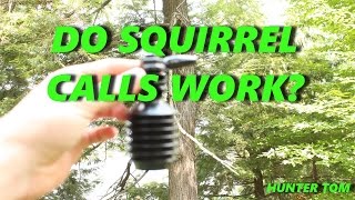Do Squirrel Calls Work?