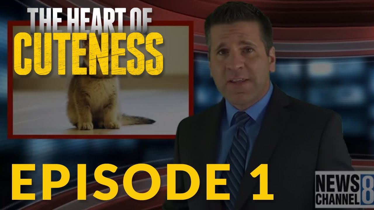 Has Kitten Cuteness Finally Met Its Match? 