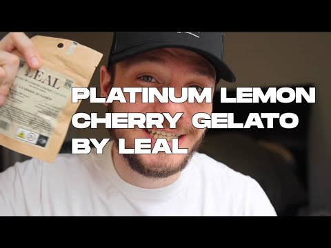 Platinum Lemon Cherry Strain