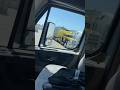 Beautiful Peterbilt | Hauling Cattle in Style 🐄#shorts #trucking #peterbilt #bullhauler #viral #fyp