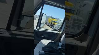 Beautiful Peterbilt | Hauling Cattle in Style 🐄#shorts #trucking #peterbilt #bullhauler #viral #fyp