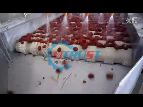 Jujube processing production line / Date Washing Drying Processing Line ...