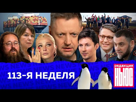 видео: Редакция. News: 113-я неделя