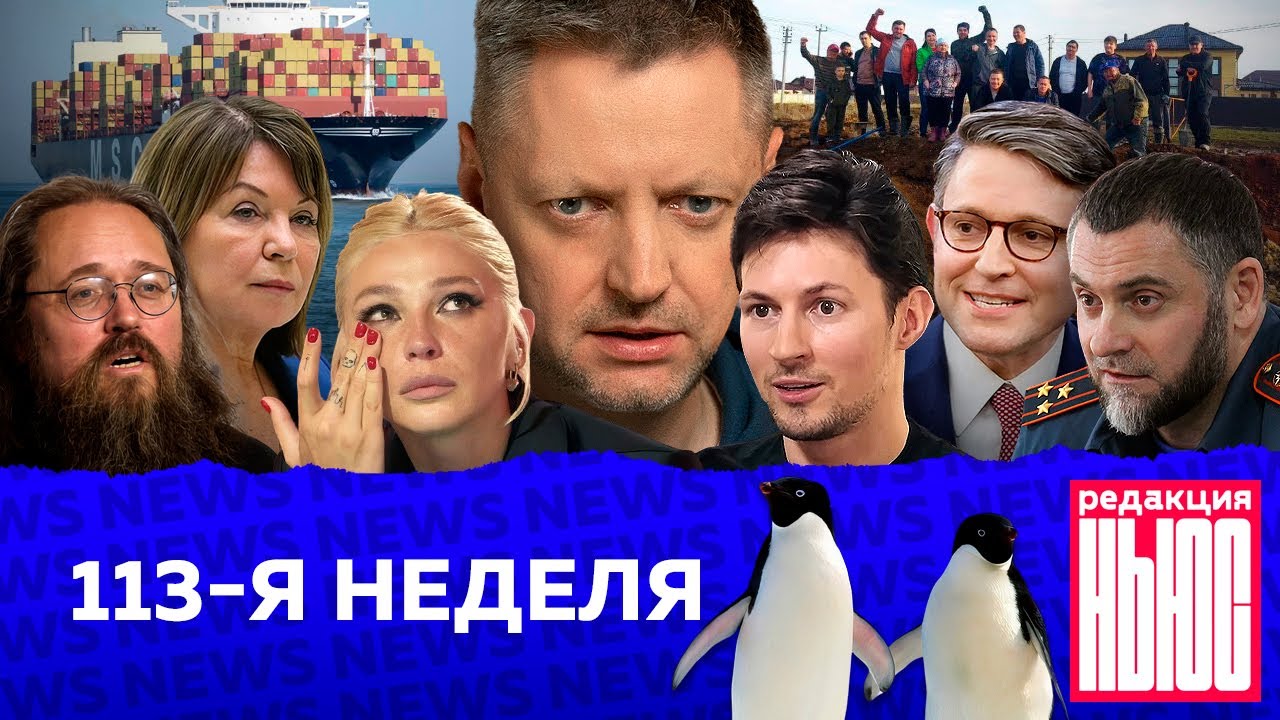 Редакция. News: 113-я неделя