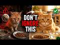 if You Don’t Know These 10 Things… You Could Lose Your Cat 🐱🔥#cat #lifelessons #animals #kitten