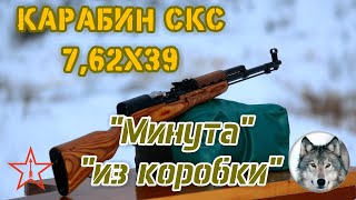 "Минутный СКС". ;) Еще один карабин "из коробки". ("1 MOA SKS". ;) Another rifle out of the box.)