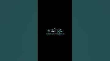 إن للمتقين مفازاً ] شاشة سوداء |  القارئ: محمد أيوب عاصف #كرومات_قرآن #quran