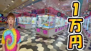 Y*様 クレーンゲーム ゲーセン POP まとめ売り 初来店】クレーンゲーム兵庫県No.1？ゲームセンターおたいちポップ