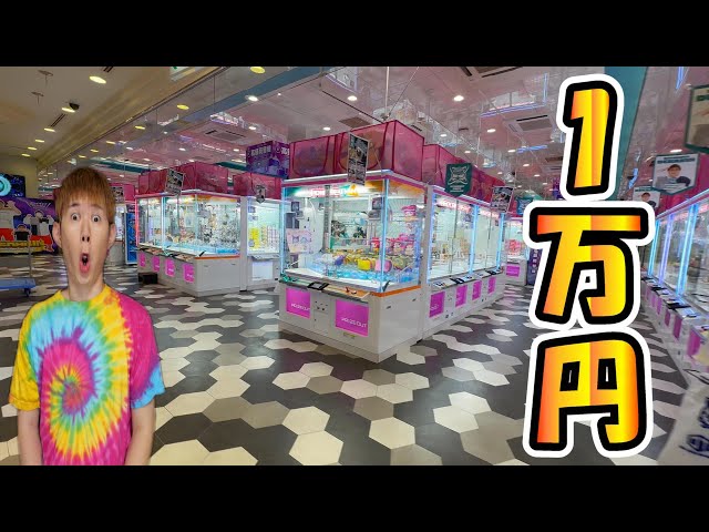 初来店】クレーンゲーム兵庫県No.1？ゲームセンターおたいちポップ