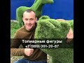 Топиарные фигуры на заказ от компании "Топиари Тут"