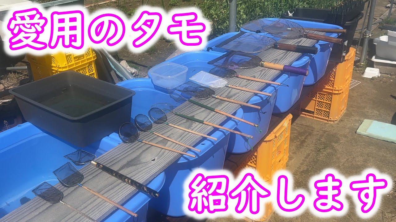 Medaka] Various dung nets for medakaI will introduce my