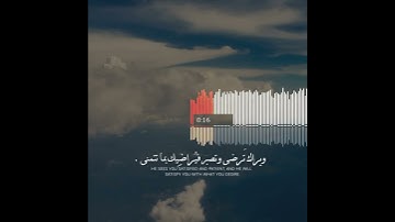 القرآن راحة ومواساة لقلبك 😍💖 اسلام صبحي | تلاوة هادئة | حالات واتس اب دينية قصيرة 💚🍂