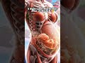 6 Signs Labor May Be Near After 37 Weeks 🤰👶:#37weekspregnant #laboranddelivery #facts #usatiktok 🇺🇸