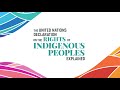 The united nations declaration on the rights of indigenous peoples explained