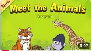 Meet The Animals Season 18 Tides Cards Showcase