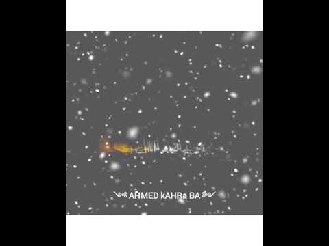 حالات واتس صدي صوت حالات واتس حوده بندق ومسلم مولود كبير