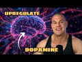 Uridine Monophosphate: Up-Regulating Dopamine Receptors For Cognitive Optimization