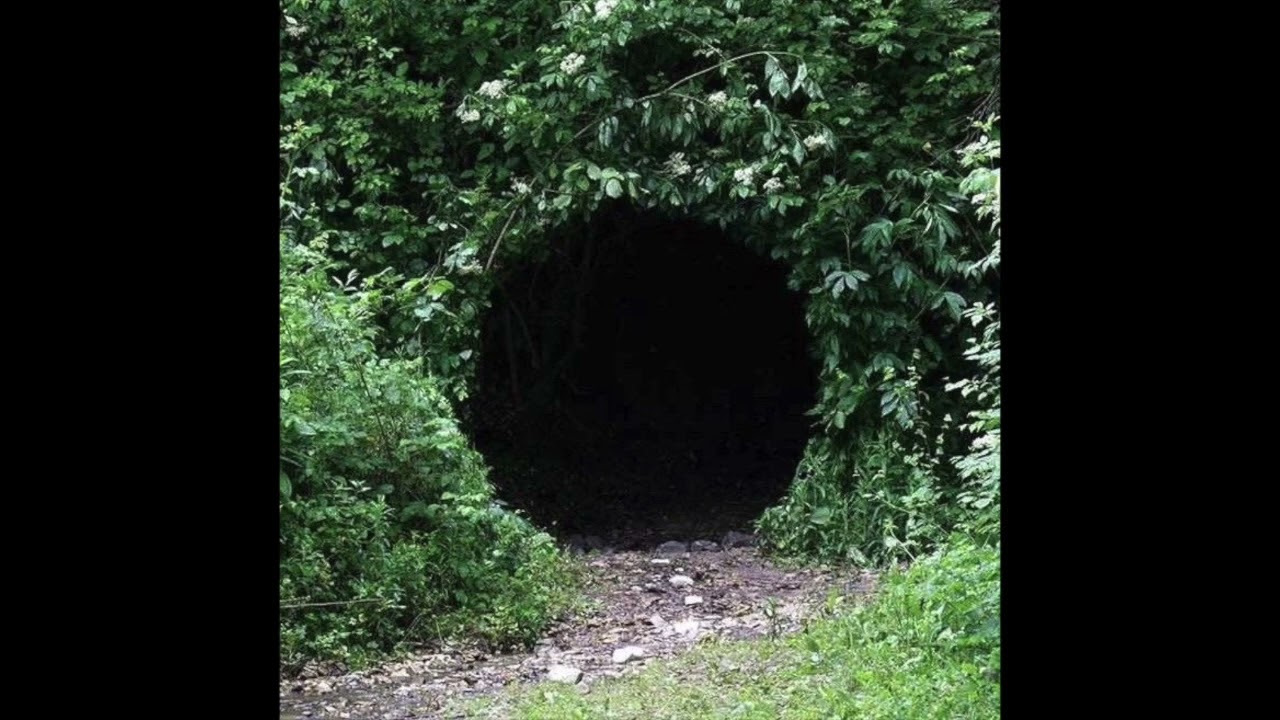 (free) indie rock + acoustic type beat "lonely"