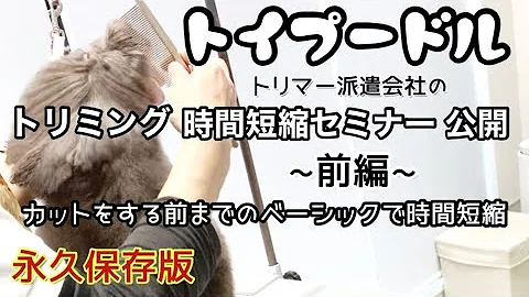 トイプードルのトリミング後 帰ったらアロマがすっきり のドッキリ Mp3