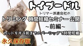 【トイプードル】トリミングを早く終わらせるコツなど解説しています。