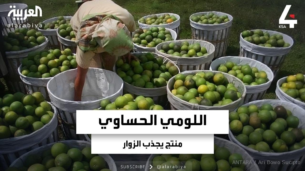 نشرة الرابعة | اللومي الحساوي.. منتج محلي يجذب الزوار وينعش الاقتصاد
