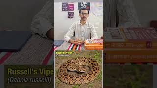 #Big four snake of india#mbbs#forensicscience#medicine#shortvideo#viralvideo#viralshorts#viralreels
