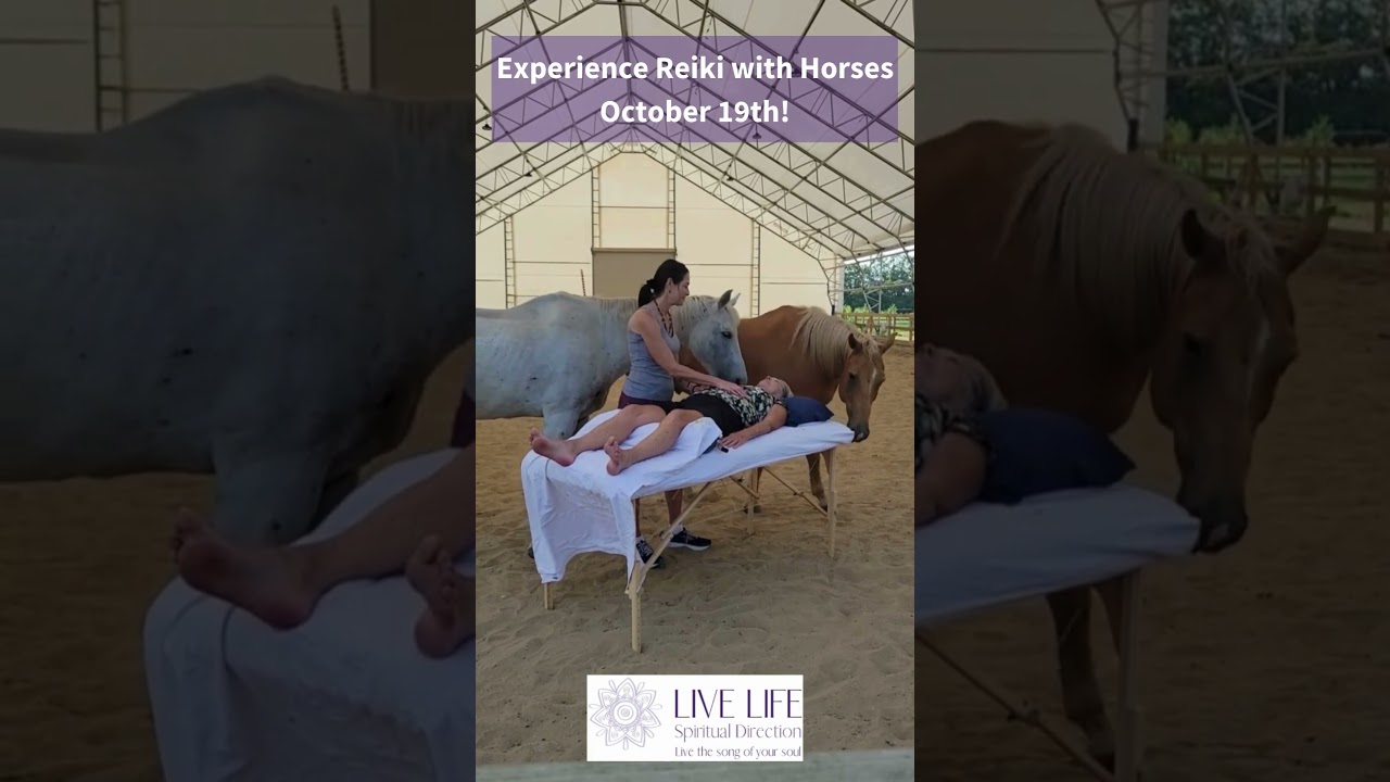 Amazing event combining Reiki with the healing power of horses! 